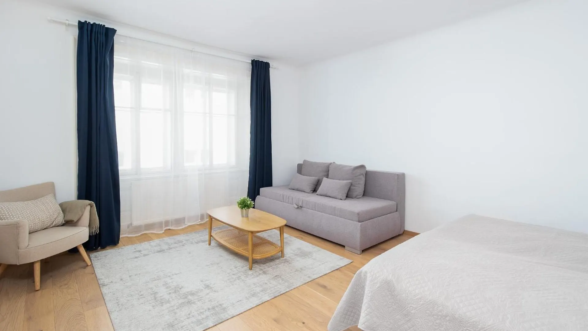 Apartment Ballgasse فيينا