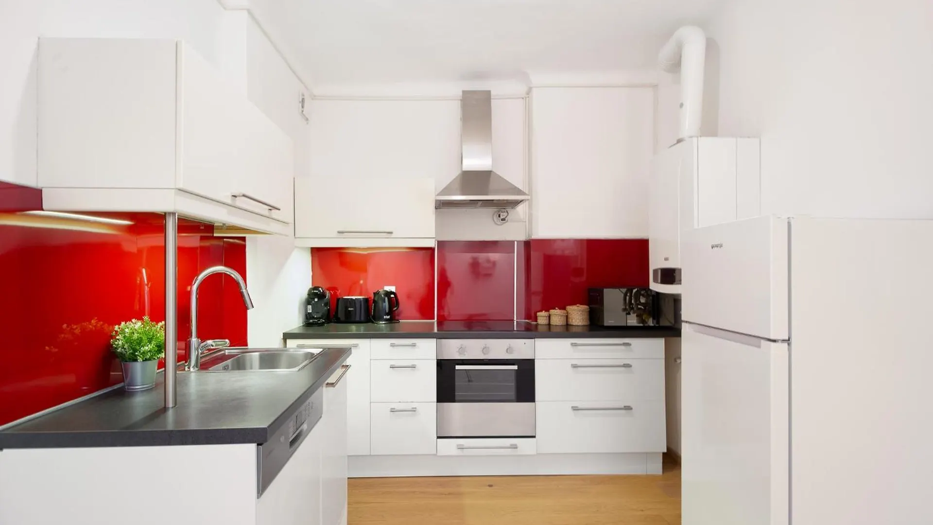 Apartment Ballgasse Viena