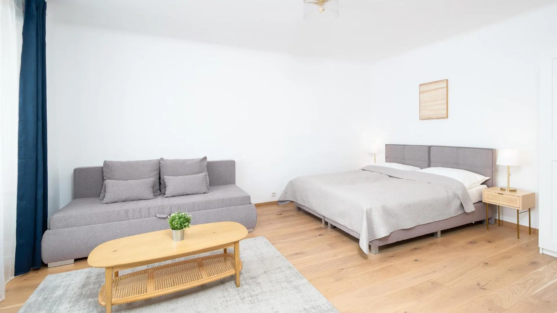 Apartment Ballgasse Viena Austria